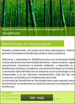 Mindfulness en Psicoterapia I